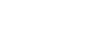 Flow Logo